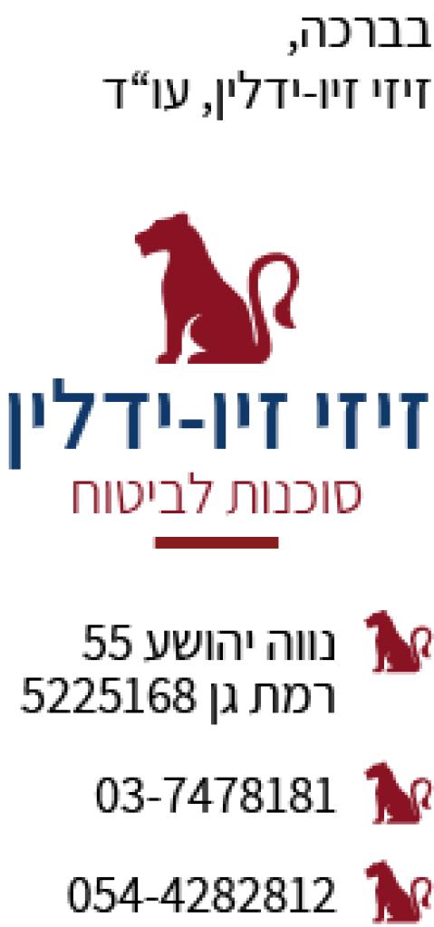 זיזי זיו ידלין זיזי זיו ידלין