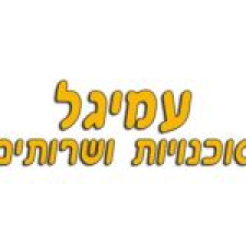 עמיגל סוכנויות ושרותים בע"מ