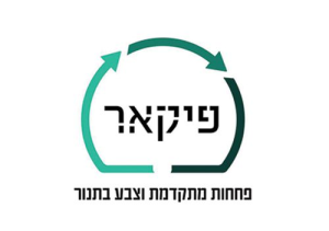 פיקאר פחחות מתקדמת וצבע