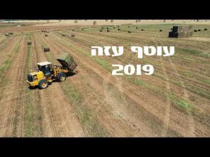 מקומון דיגיטלי העוטף