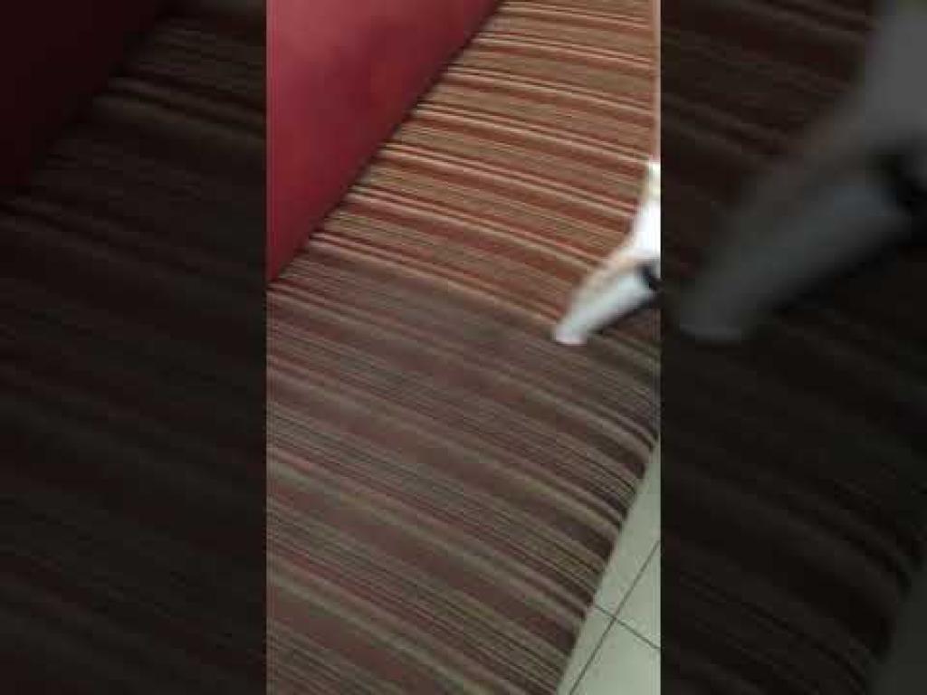 אביתר אחזקות אביתר אחזקות