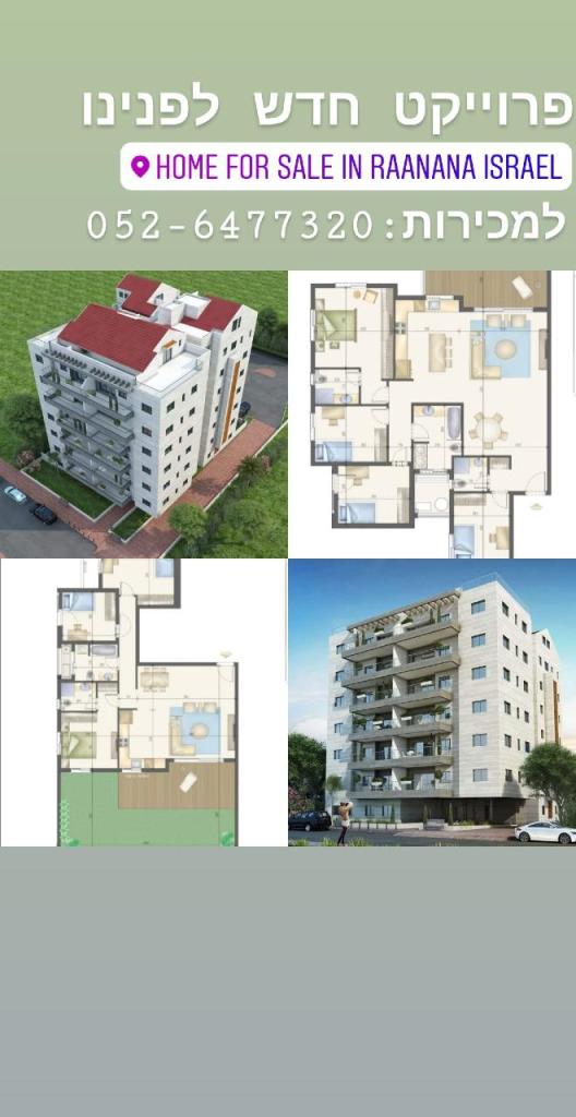 מור צידון מור צידון