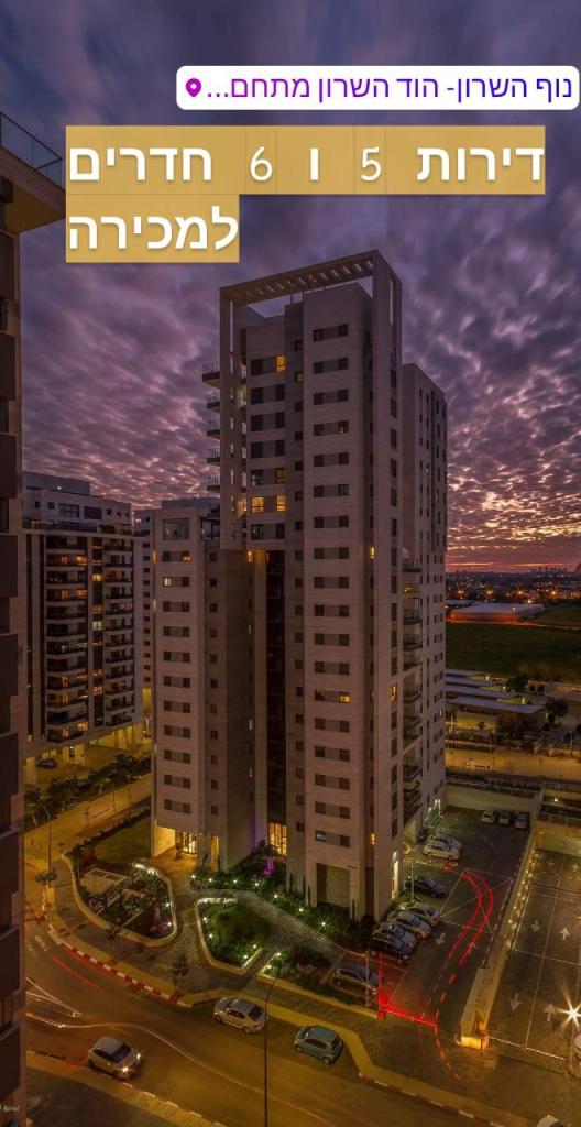 מור צידון מור צידון