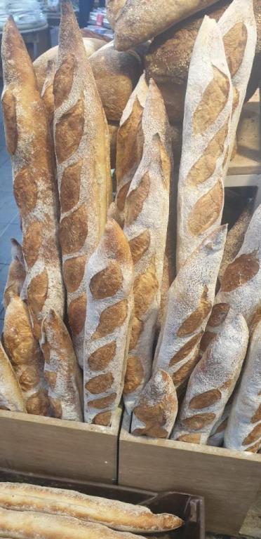 סופר לחם סופר לחם