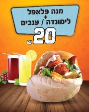 פסגת הפלאפל