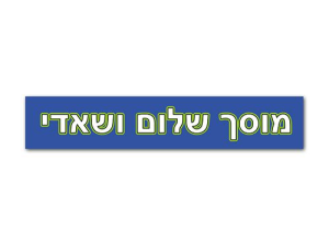 שלום ושאדי מוסך