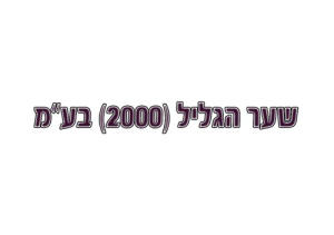 שער הגליל (2000) בע"מ
