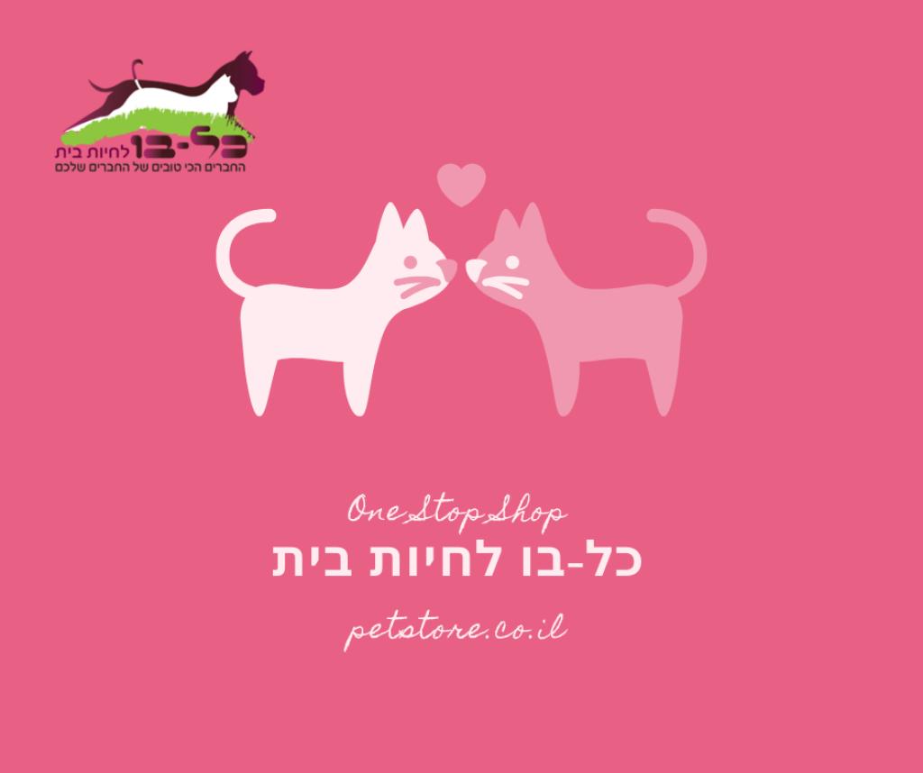 כל בו לחיות בית כל בו לחיות בית