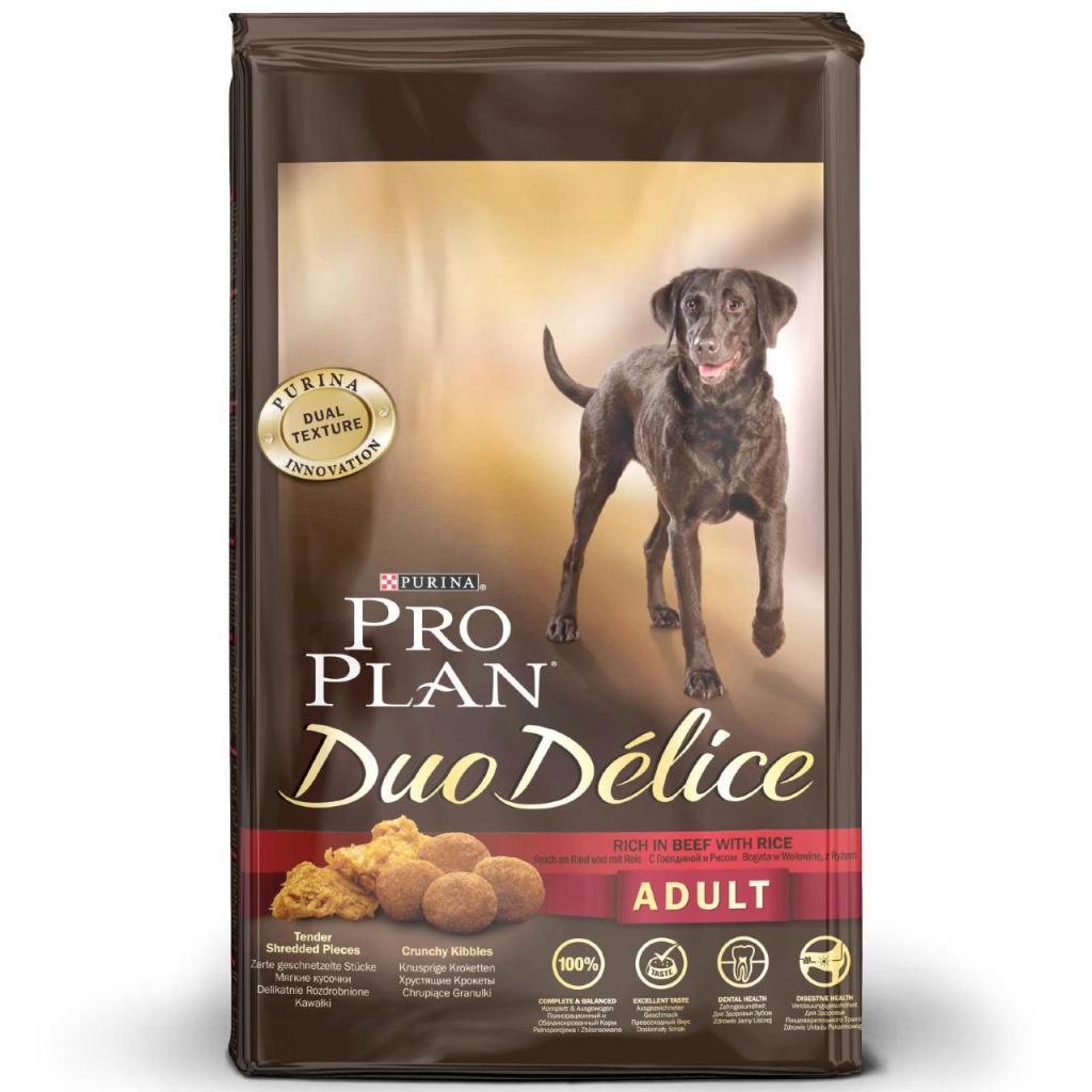 כל בו לחיות בית כל בו לחיות בית