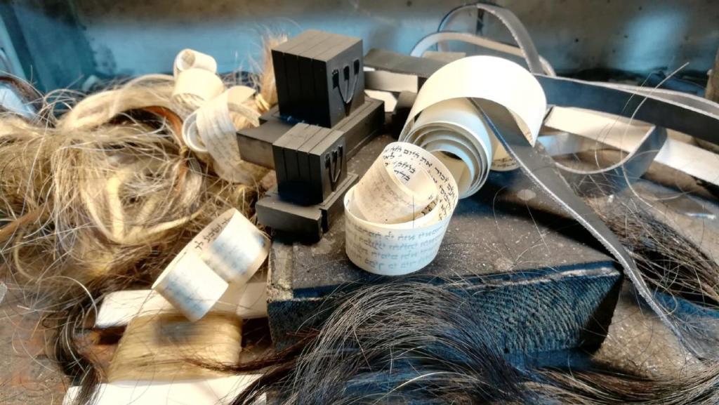 מאיר טויזר מאיר טויזר