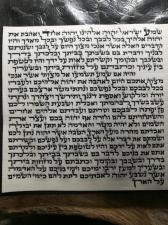 מאיר טויזר
