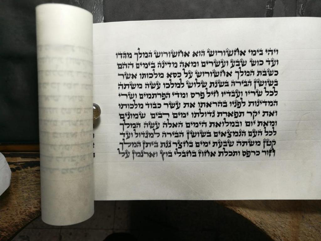 מאיר טויזר מאיר טויזר