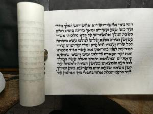 מאיר טויזר