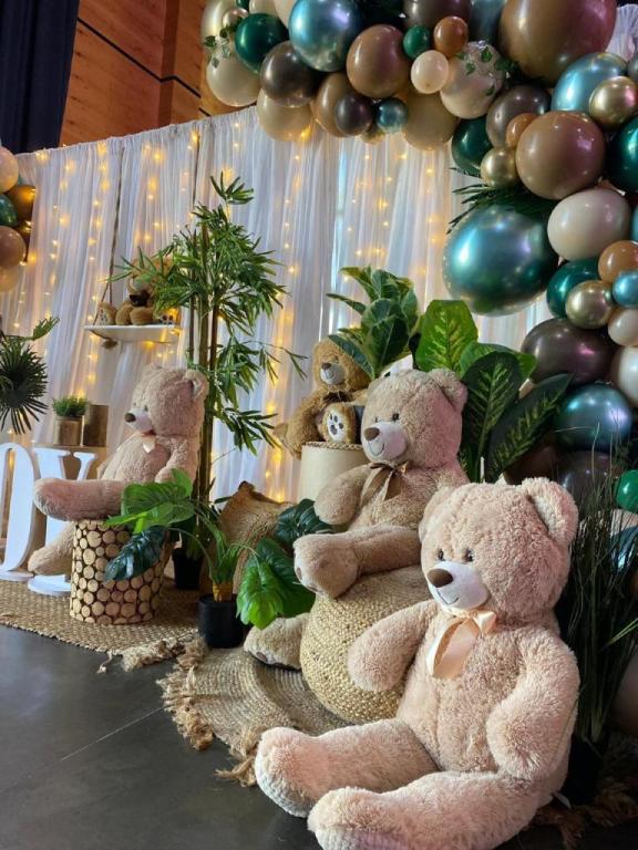 בלונים Sis sweet בלונים Sis sweet