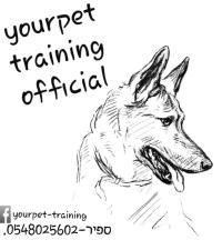 YourPet Training