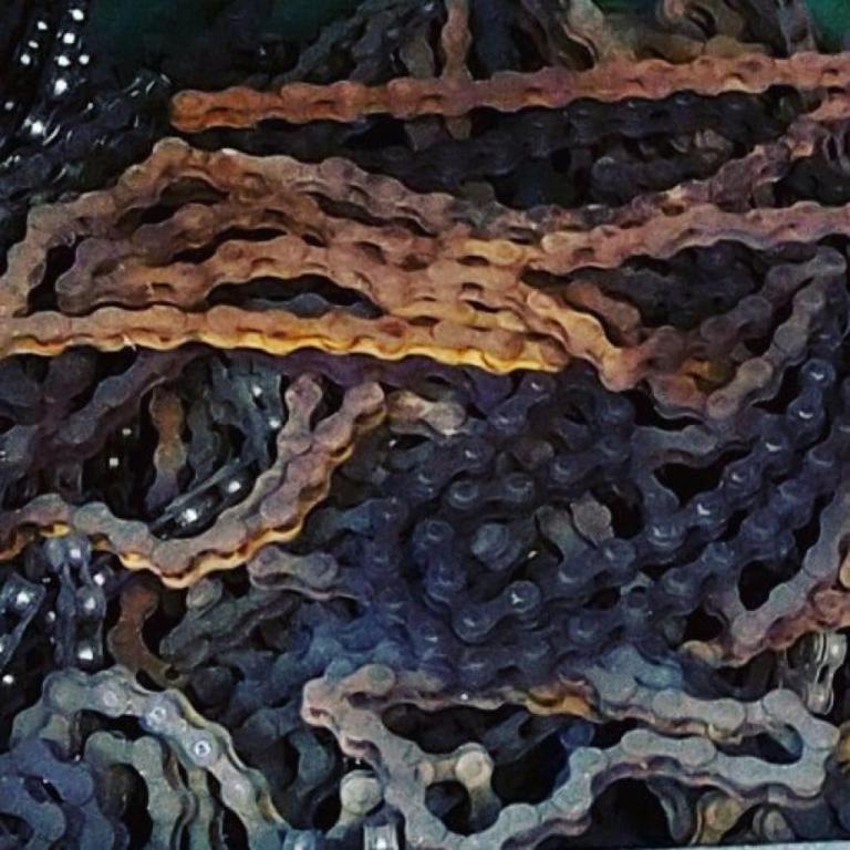 האופניה האופניה