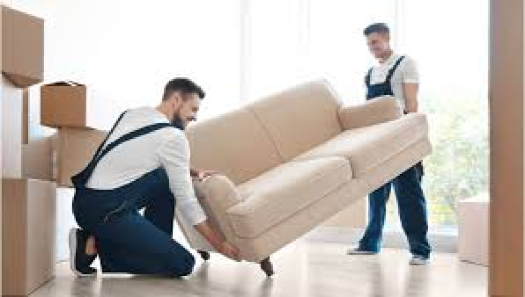 זריז הובלות זריז הובלות