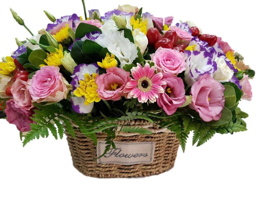 שם הורד שם הורד