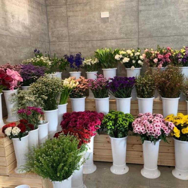 שם הורד שם הורד