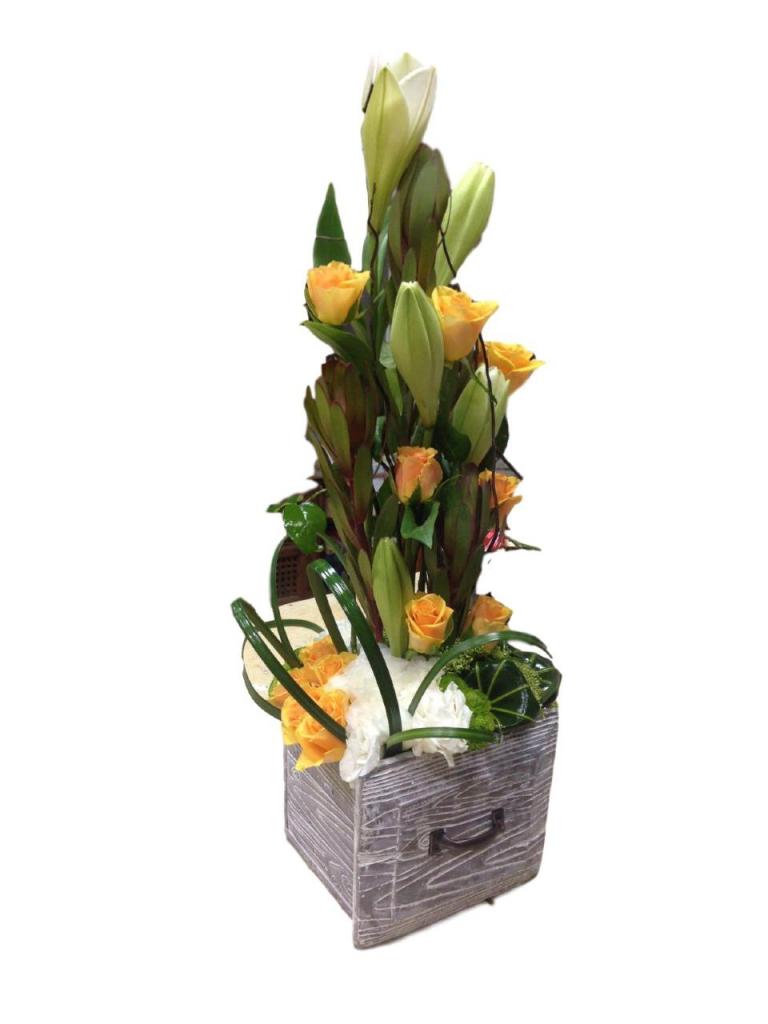 שם הורד שם הורד