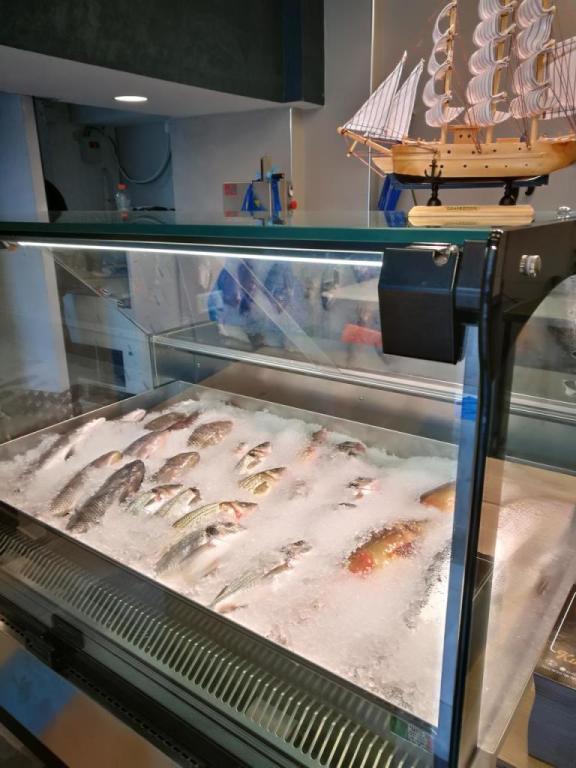 קינג סלמון קינג סלמון