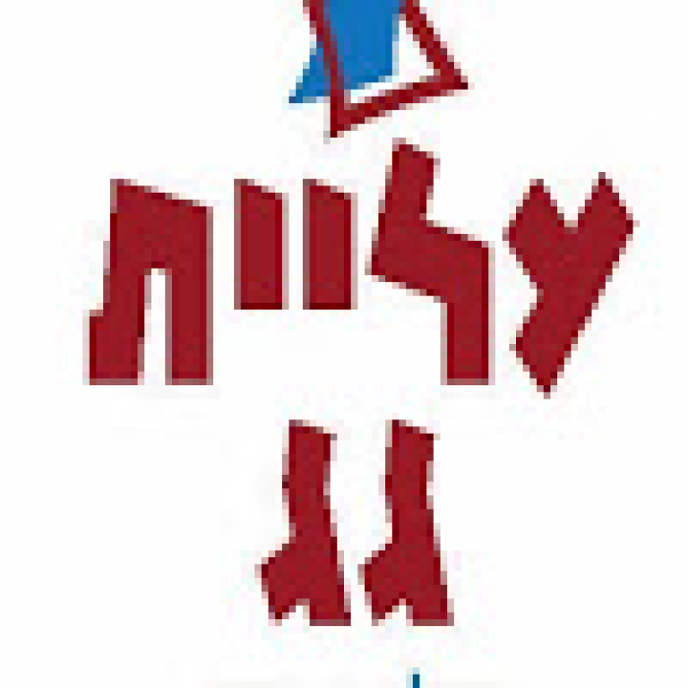 עליית גג עליית גג