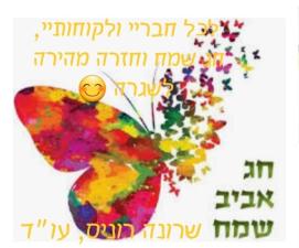 עו"ד שרונה רוניס