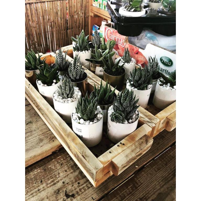 גרדן גן Gardengan גרדן גן Gardengan