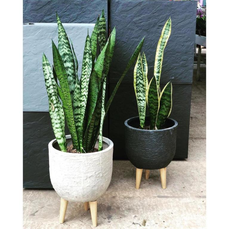 גרדן גן Gardengan גרדן גן Gardengan