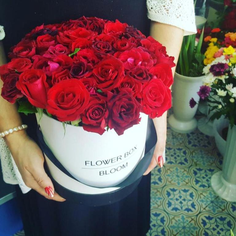 Lucky Rose Lucky Rose