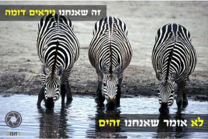 צומת ייעוץ קריירה