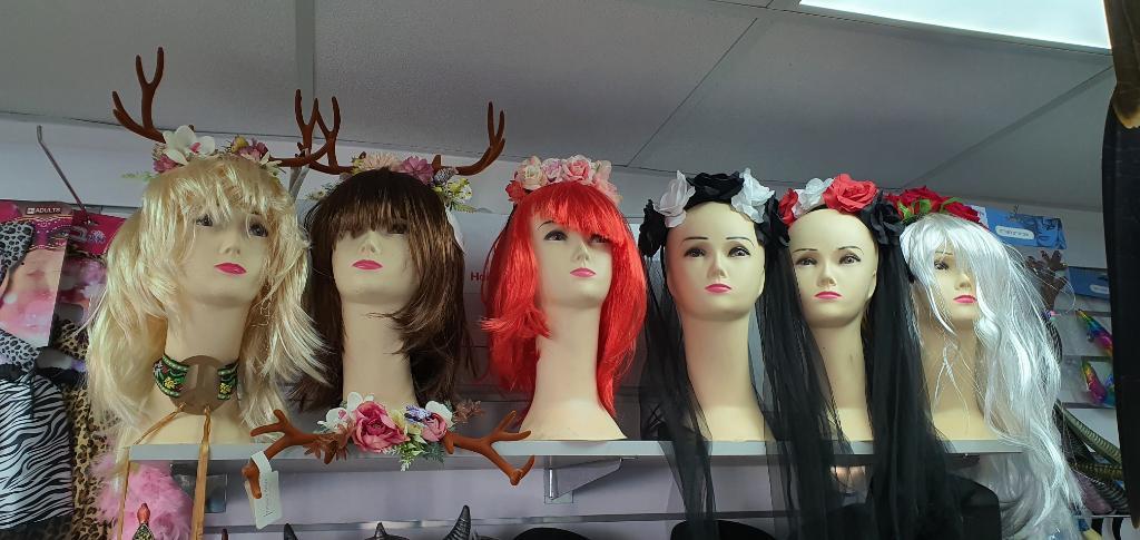 אניב צעצועים אניב צעצועים