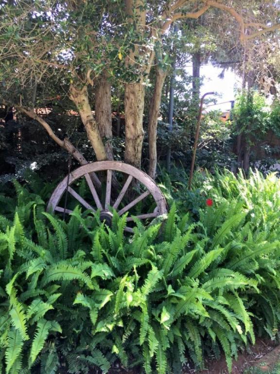 ירון יוליוסבורגר ירון יוליוסבורגר