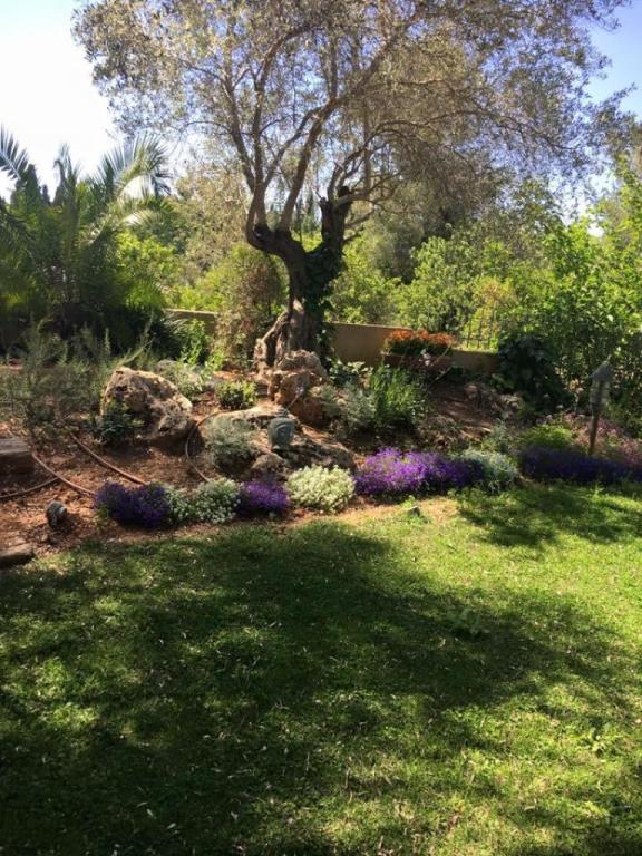 ירון יוליוסבורגר ירון יוליוסבורגר