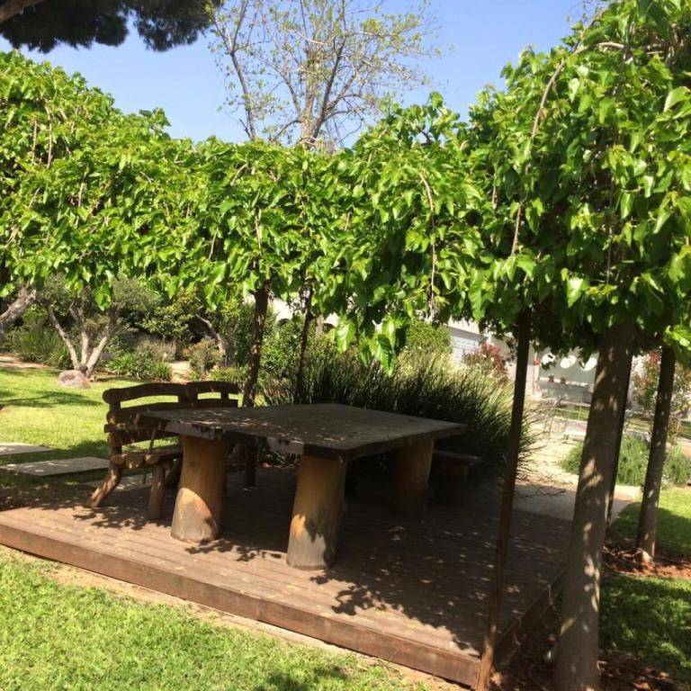 ירון יוליוסבורגר ירון יוליוסבורגר