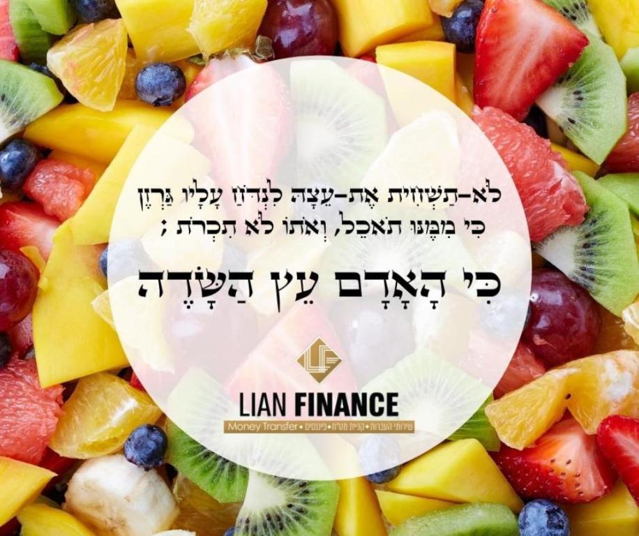 ג.נ ליאן פיננסים ג.נ ליאן פיננסים