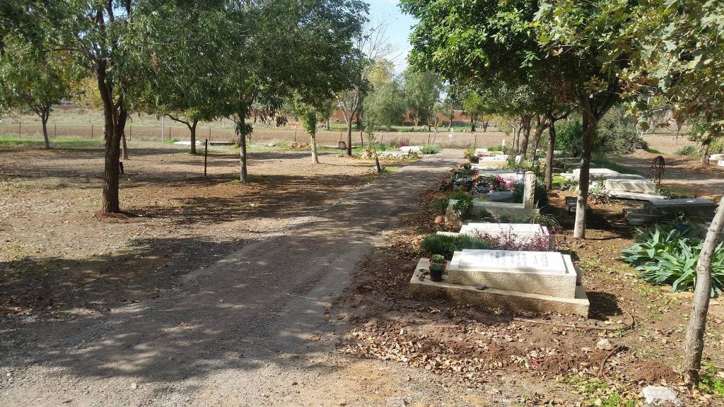 דניאל עבודות פיתוח דניאל עבודות פיתוח