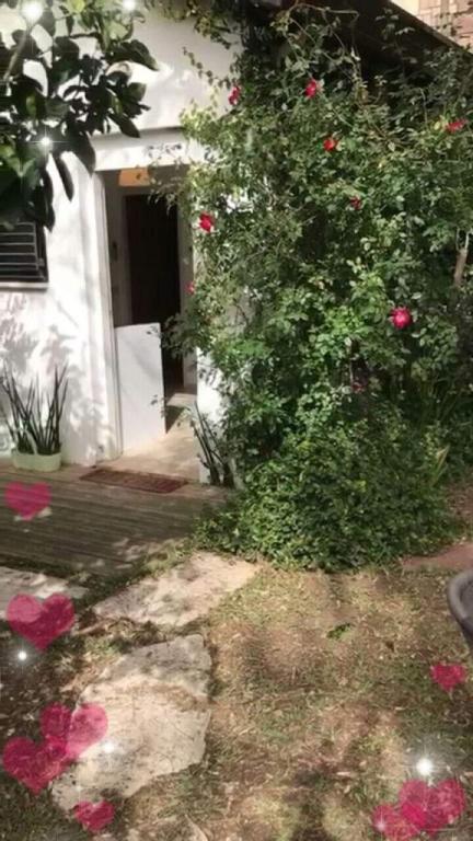 B.U.Love.U טיפול הוליסטי B.U.Love.U טיפול הוליסטי