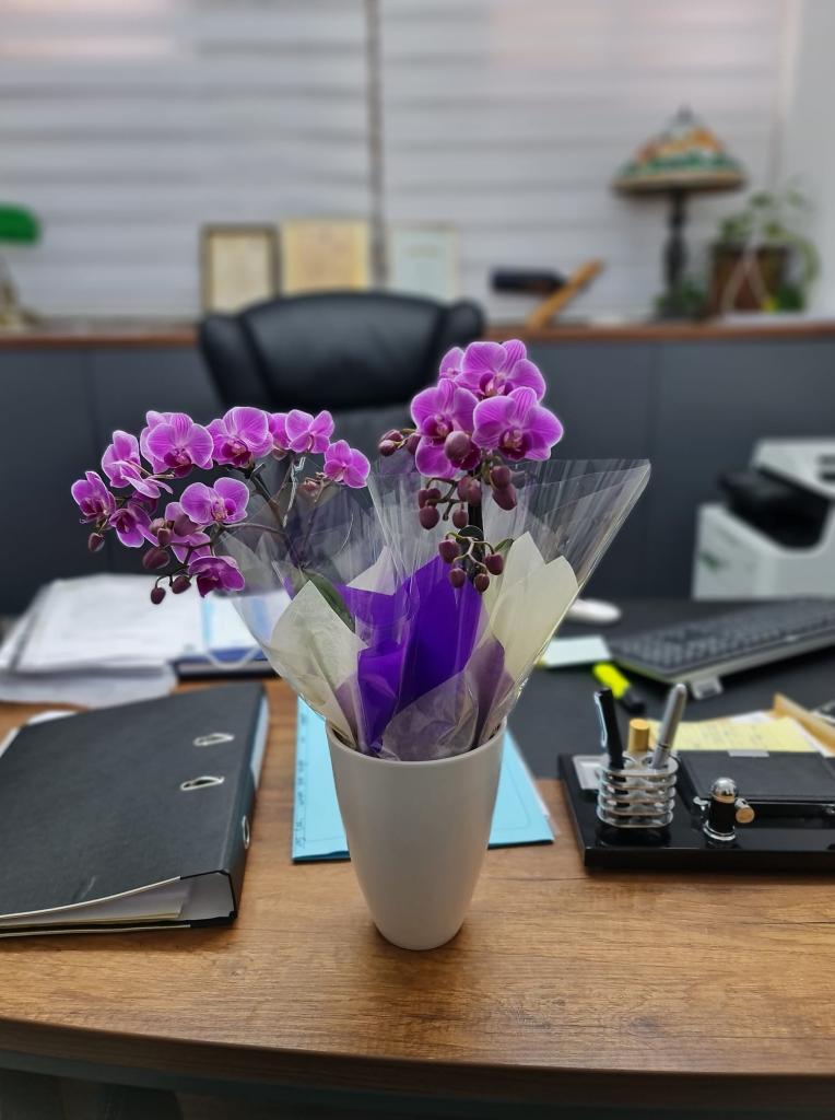 ליאור רובין ליאור רובין