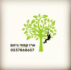 ארז קמחי גיזום