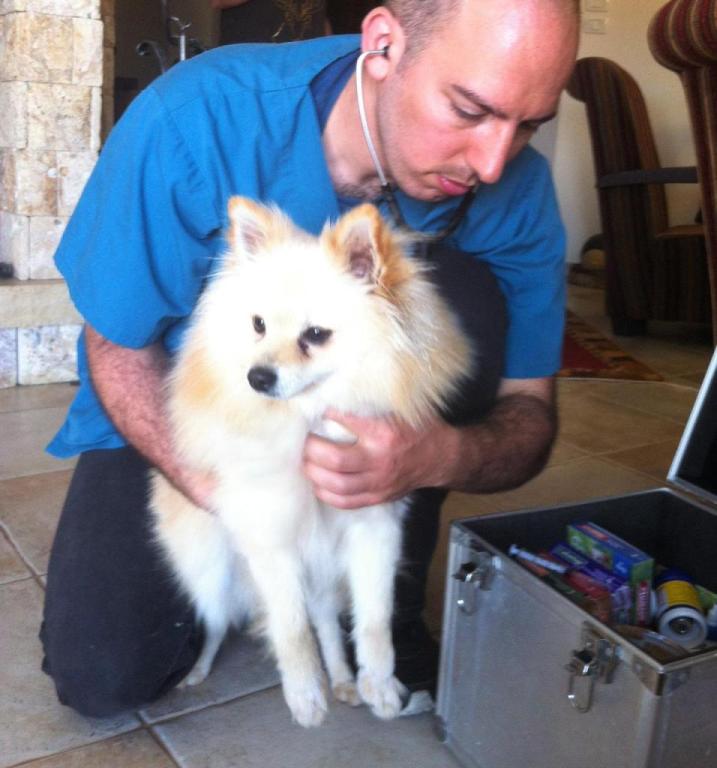 ד"ר צדוק וטרינר נייד ד"ר צדוק וטרינר נייד