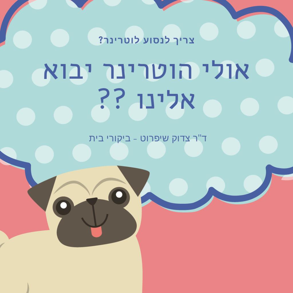 ד"ר צדוק וטרינר נייד ד"ר צדוק וטרינר נייד