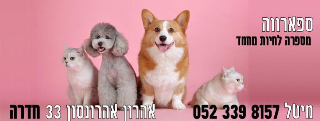 ספארווה ספארווה