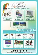 פט לנד