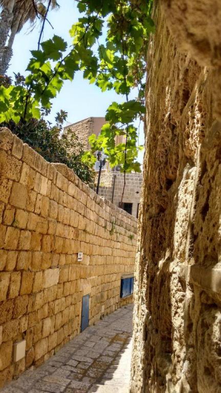 Thai pai food Thai pai food