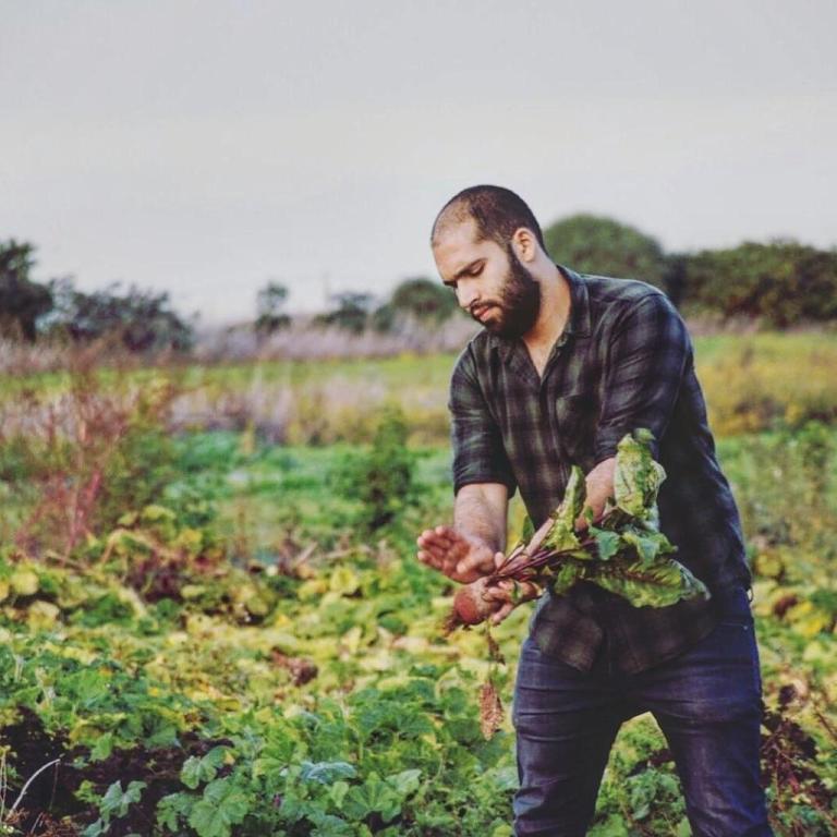 Thai pai food Thai pai food