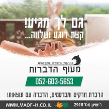 מעוף הדברות