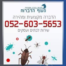 מעוף הדברות