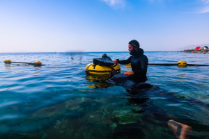 eilatfreediver