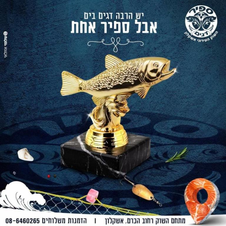 ספיר דגים ספיר דגים